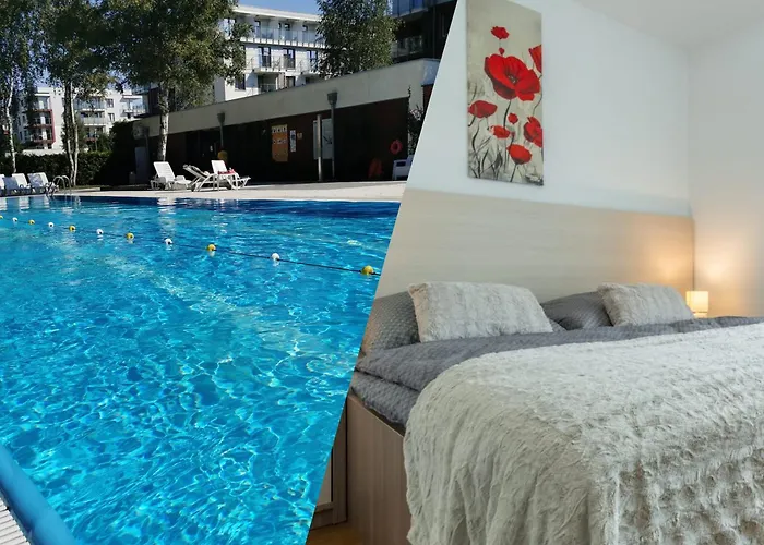 Amber * קולובז'ג